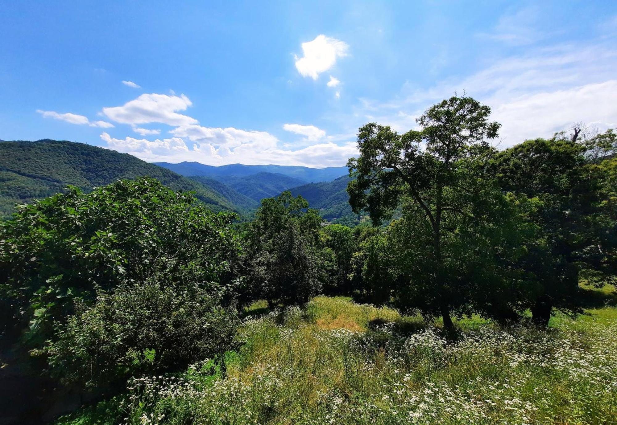 La Baita Nel Bosco Brossasco Ngoại thất bức ảnh